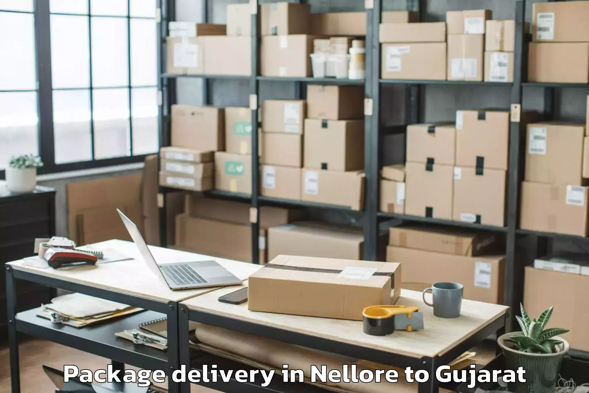 Quality Nellore to Nirma University Ahmedabad Package Delivery